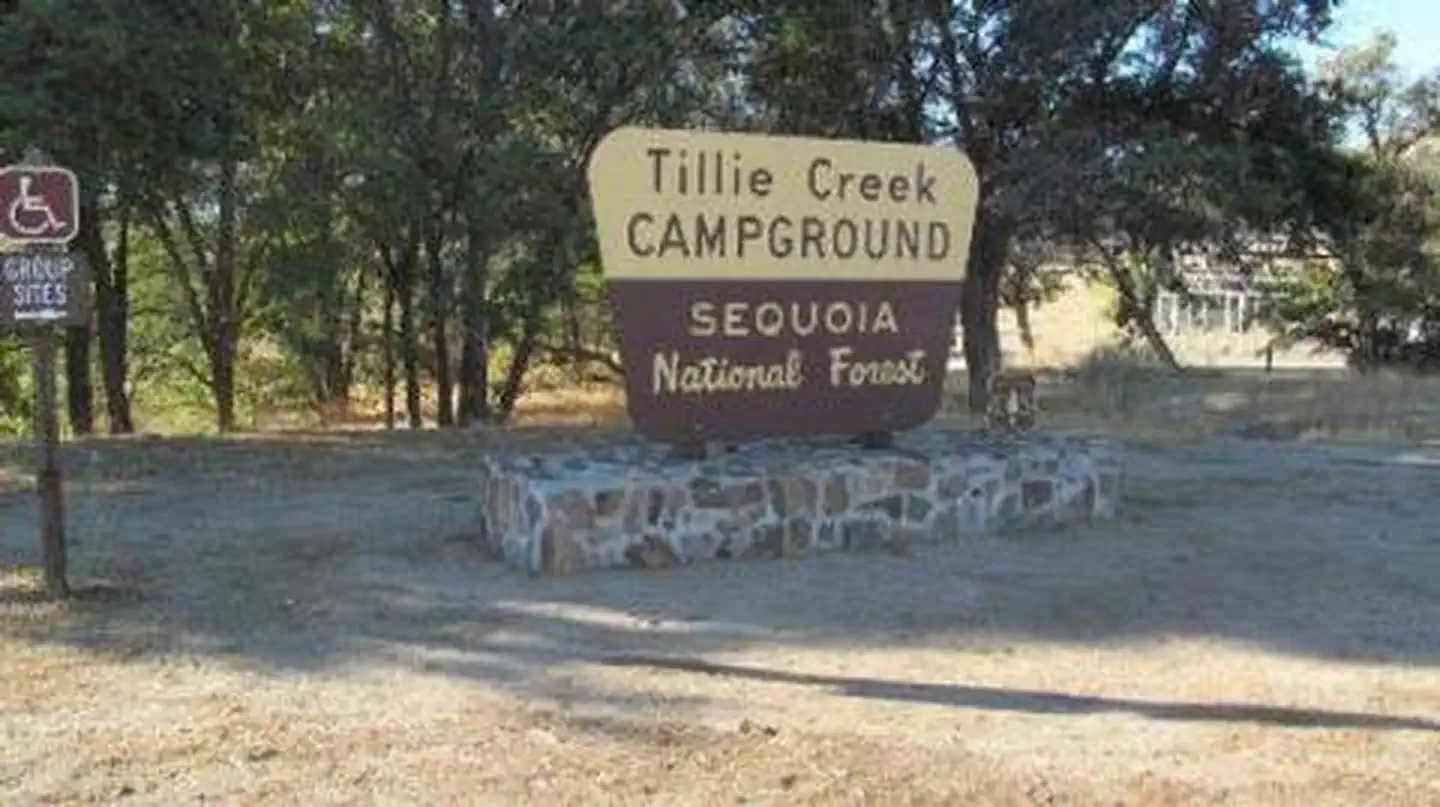 Tillie Creek — TILLIE CREEK