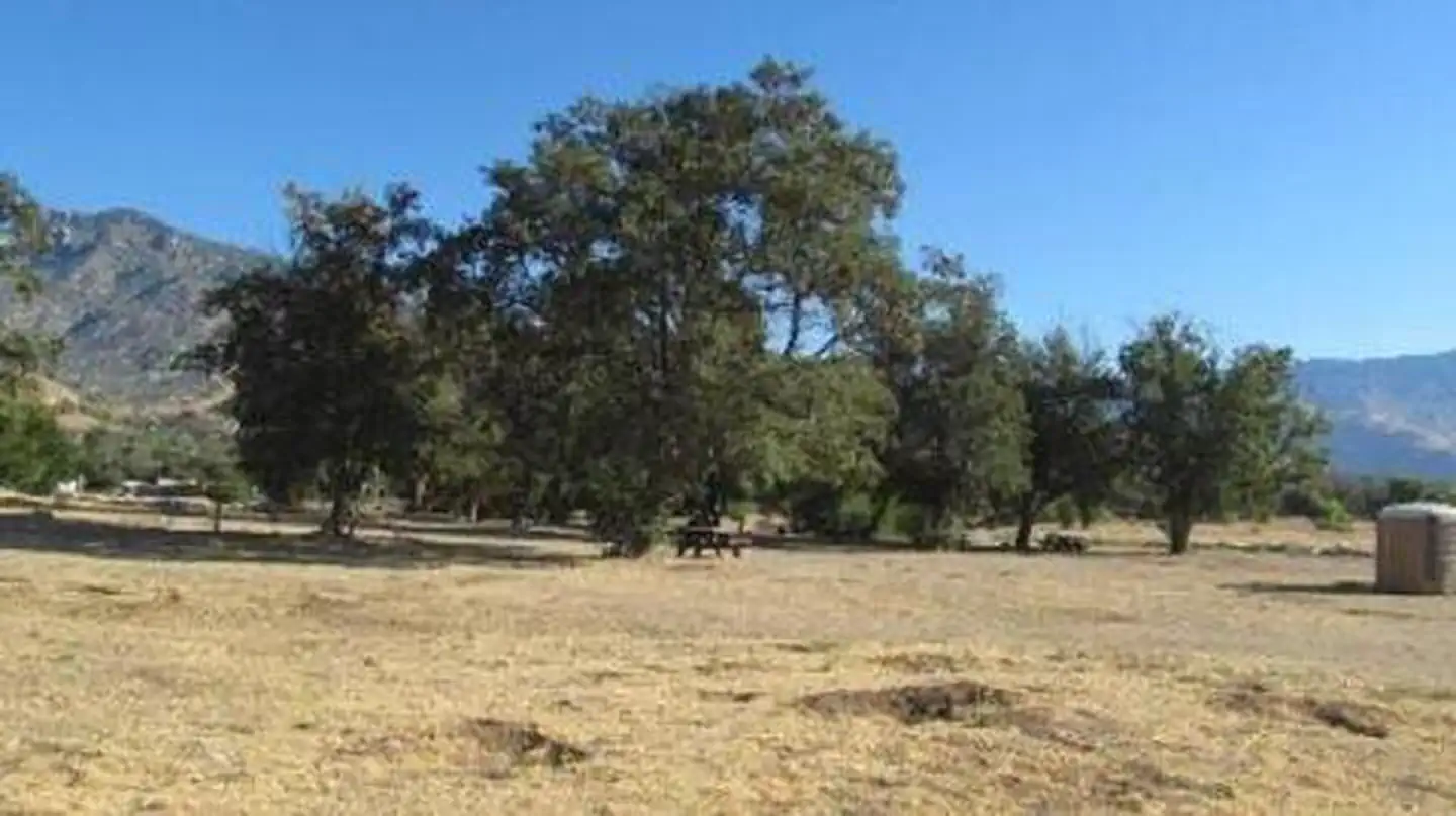 Tillie Creek — TILLIE CREEK
