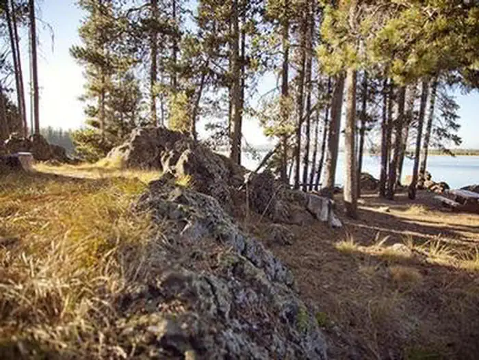Crane Prairie Campground — Crane Prairie Campground