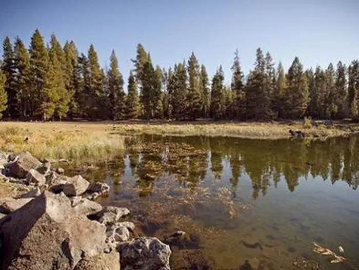Crane Prairie Campground — Crane Prairie Campground