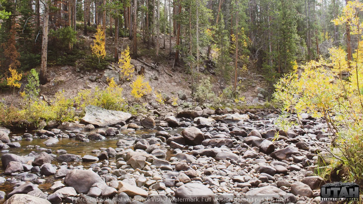 Hayden Fork Campground