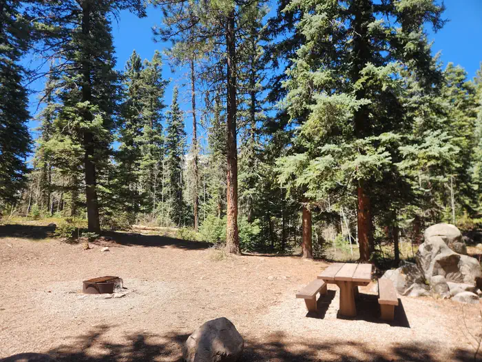 Transfer Park Campground β Campsite with picnic table and fire ring at Transfer Park