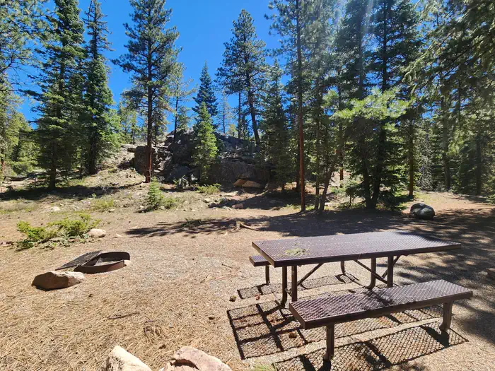 Transfer Park Campground β Campsite with picnic table and fire ring at Transfer Park
