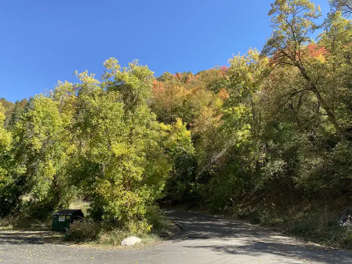Mueller Park Group Picnic — A photo of facility MUELLER PARK GROUP PICNIC with No Amenities Shown