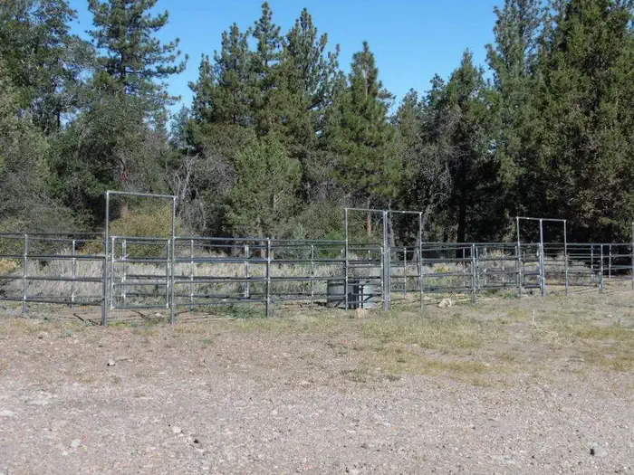 Green Spot Equestrian Campground — Green Spot
