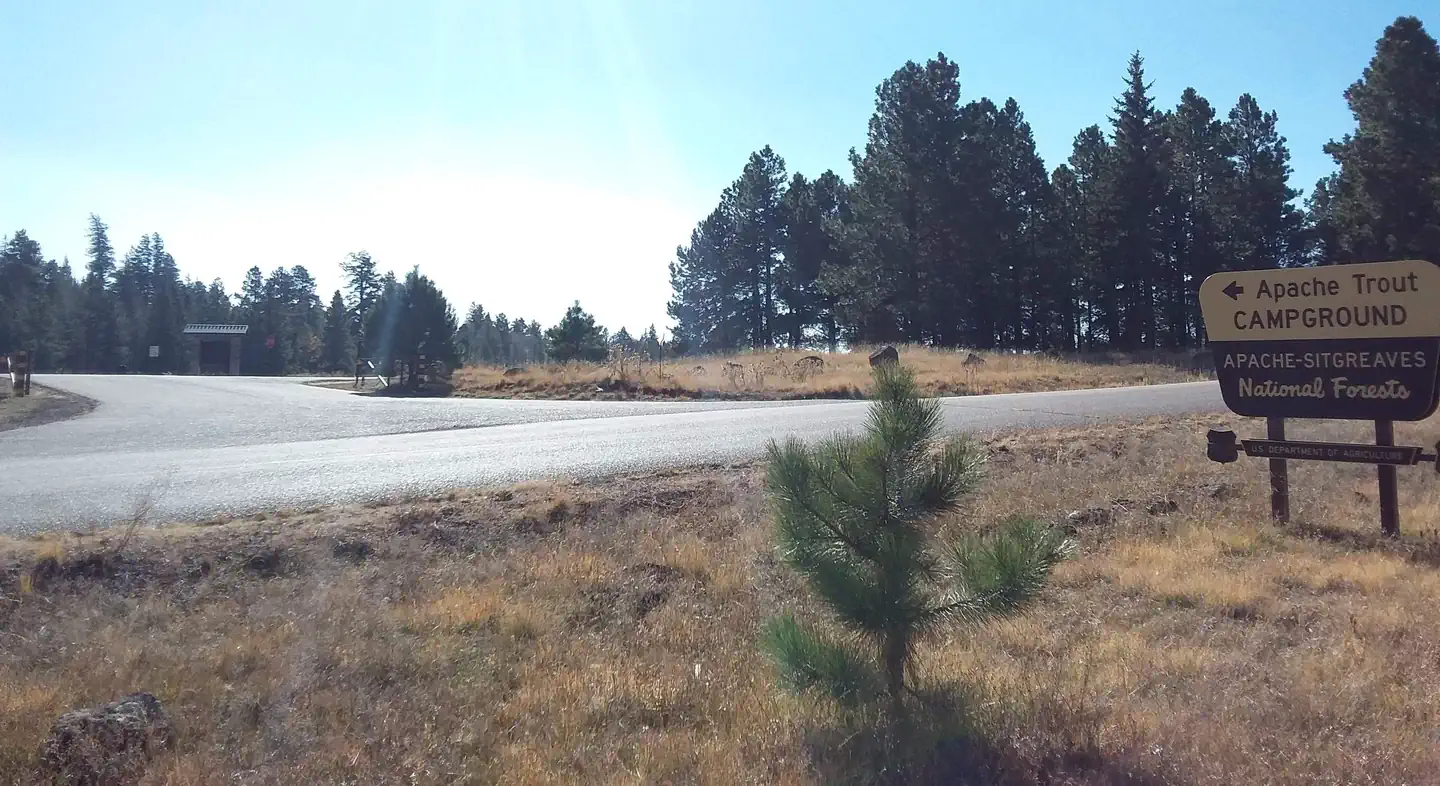 Apache Trout Campground — Apache Trout Campground entrance