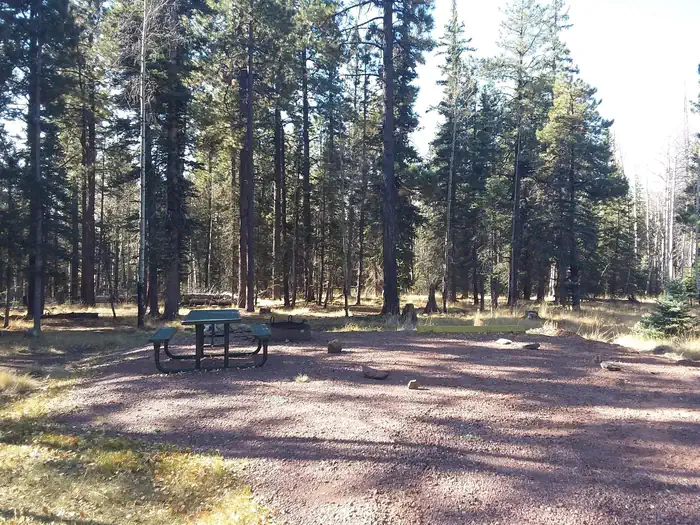 Apache Trout Campground — Apache Trout Campground campsite