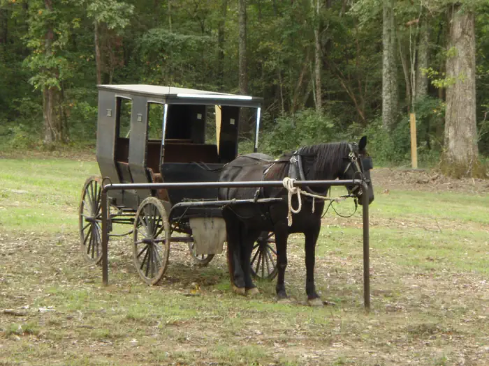 Fords Well Horse Camp — Ride the trails