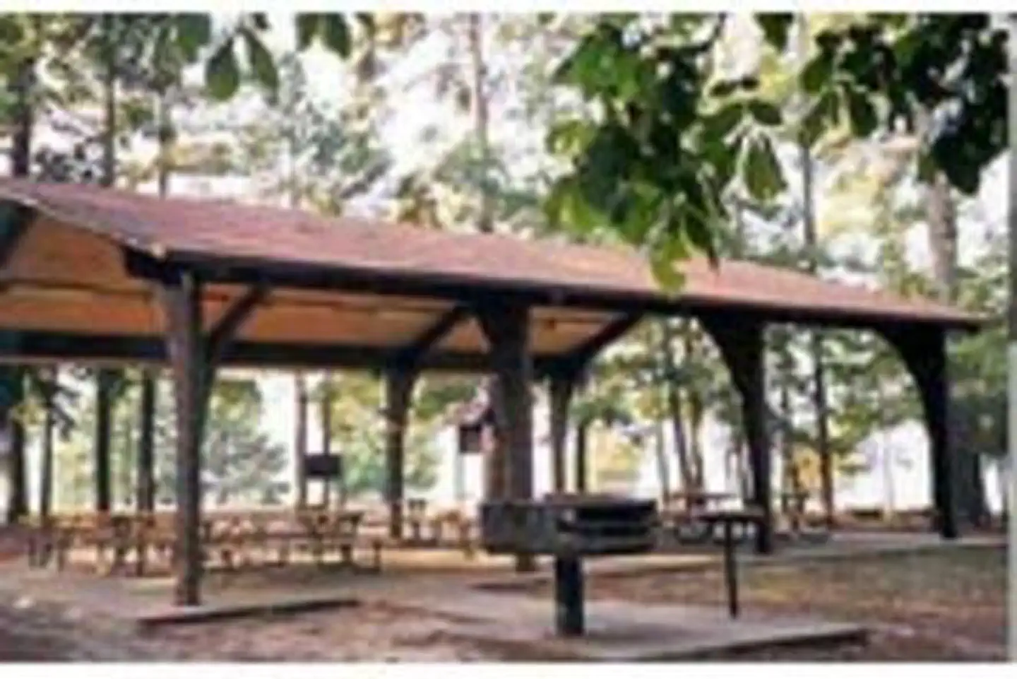 Arlie Moore — ARLIE MOORE Pavilion