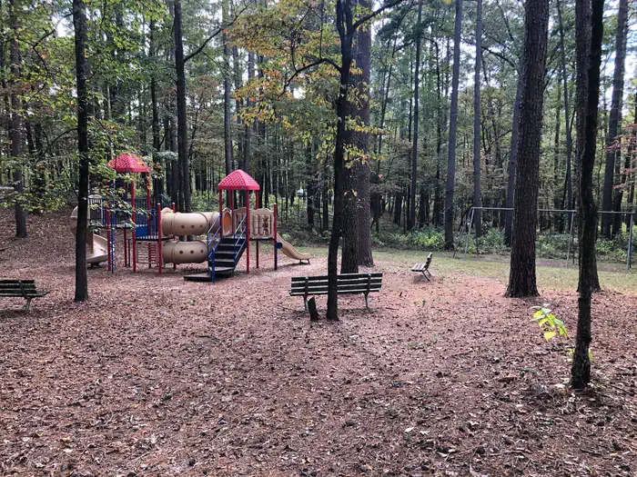 Arlie Moore — Playground