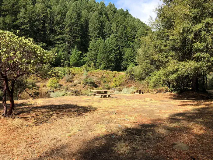 Skunk Point Group Campground — Tent Site area overlooking Trinity River