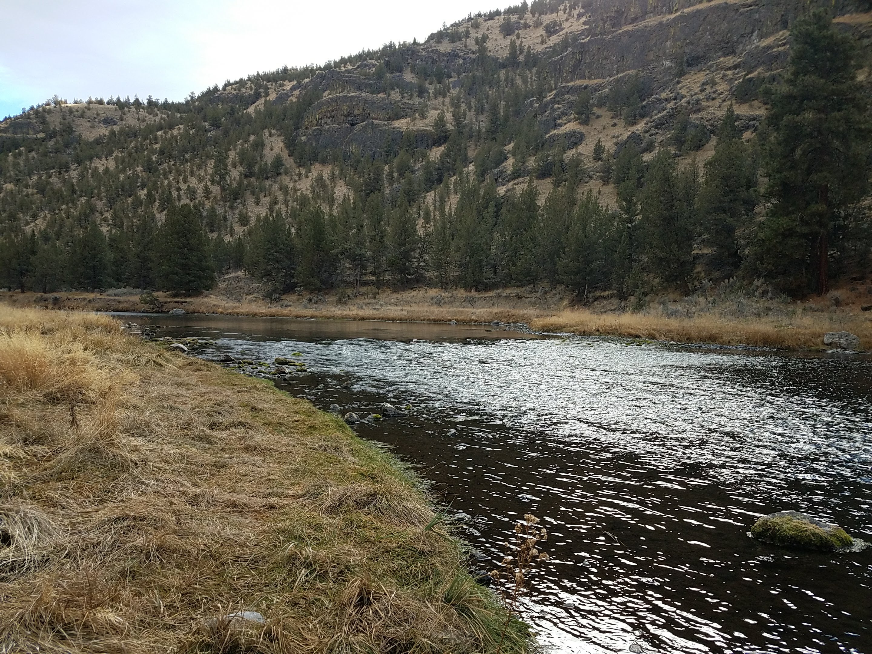 Lower Crooked River - BLM — The bend in the Crooked River at Big Bend Campground