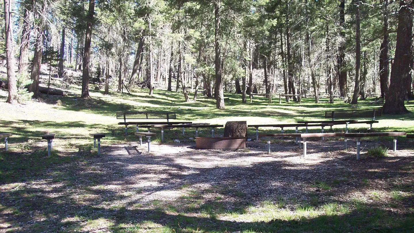 Upper Fir Group