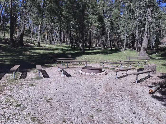 Upper Fir Group — Group Fire Pit