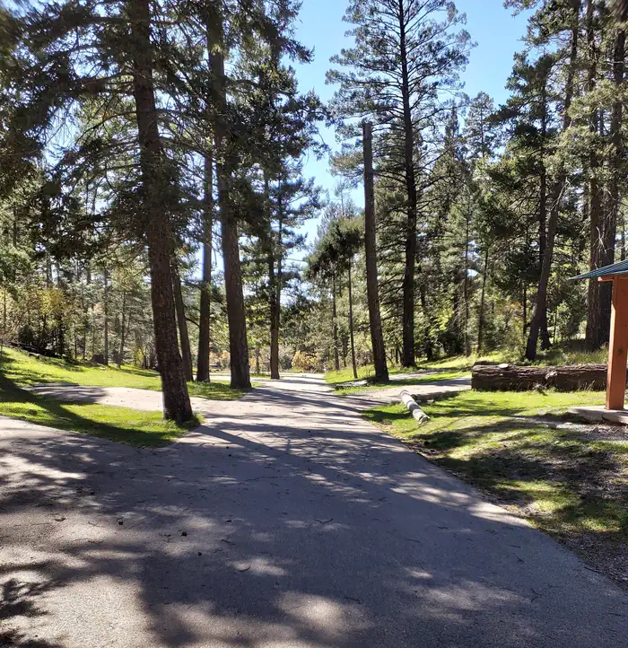 Upper Fir Group — UPPER FIR Group Campground Paved Driveway
