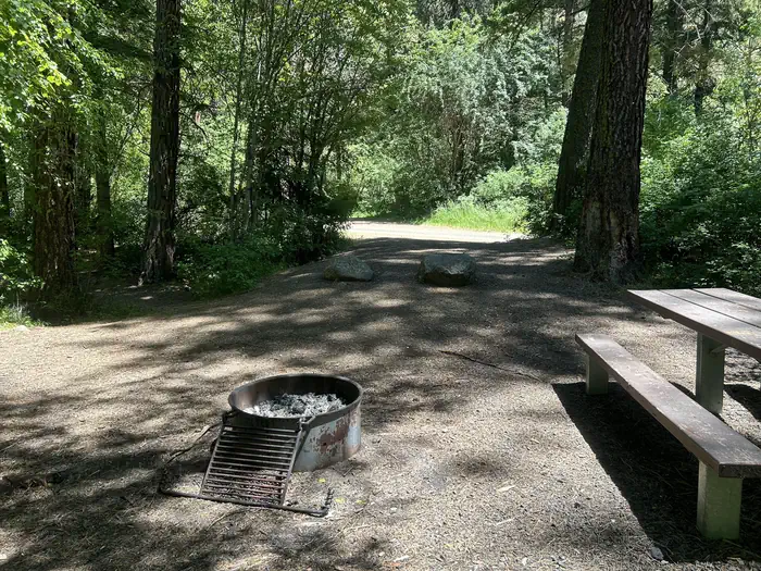 Brownlee — Forested campsite with picnic table and fire ring.