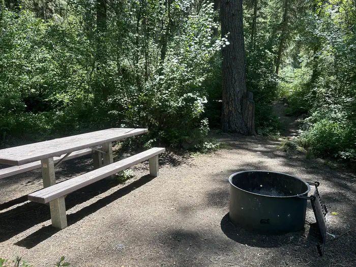 Brownlee — Brownlee Campsite #6
