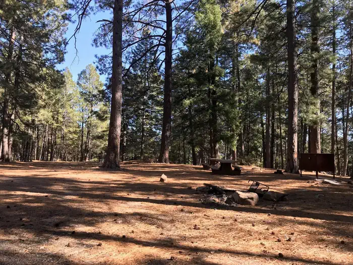 Upper Twilight Group Site — Upper Twilight Parking Area
