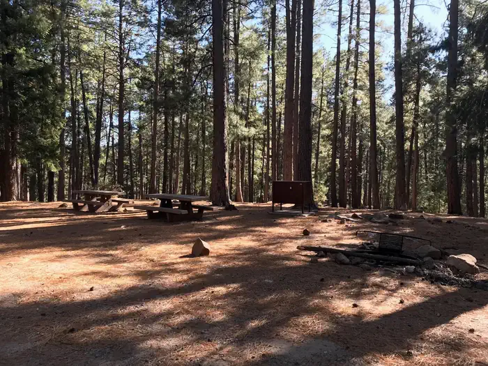 Upper Twilight Group Site — Upper Twilight Group Site