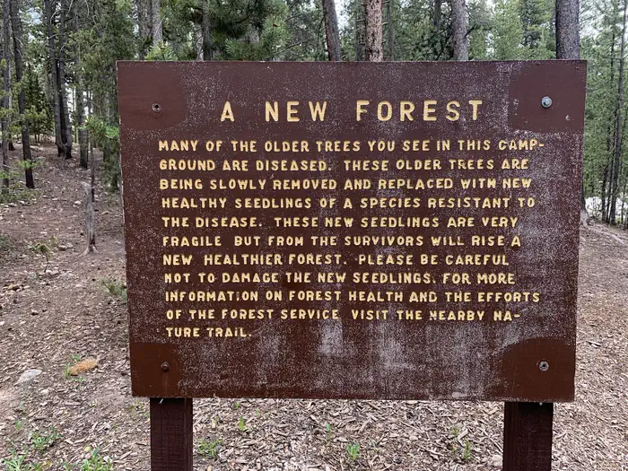 Molly Brown Campground — Molly Brown Campground