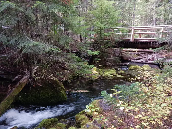 Skookum Creek Campground — stream with a bridge and trees.