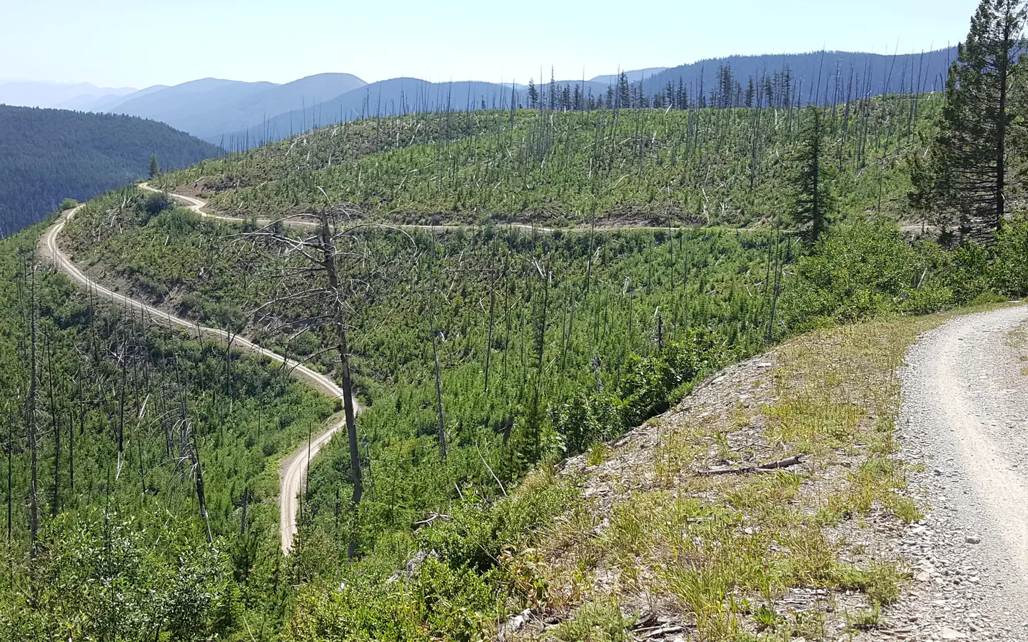 Hornet Lookout β Road