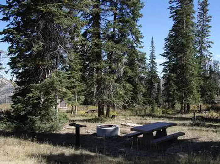 Avintaquin Campground — AVINTAQUIN CAMPGROUND