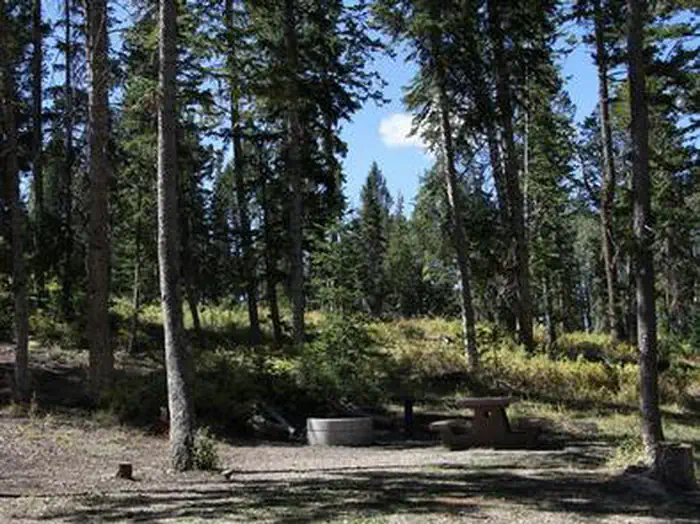 Avintaquin Campground — AVINTAQUIN CAMPGROUND