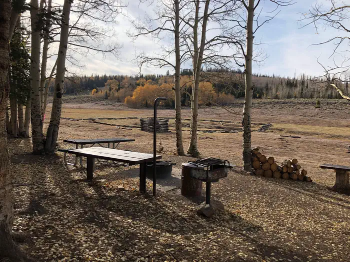 Jones Corral Guard Station β Picnic area with view of the meadow in the background