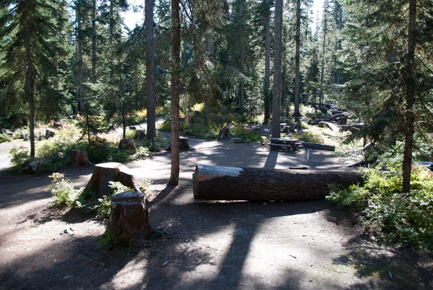 Takhlakh Lake Campground — Takhlakh Lake Campsite loop