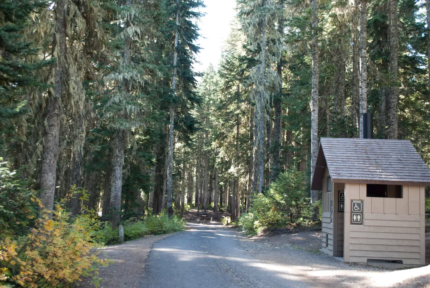 Takhlakh Lake Campground — Takhlakh Lake Campground road