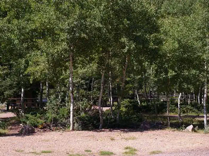 Rock Creek Group — ROCK CREEK GROUP
