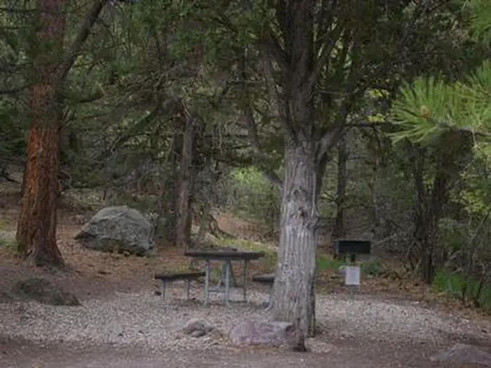 Mahogany Cove Campground