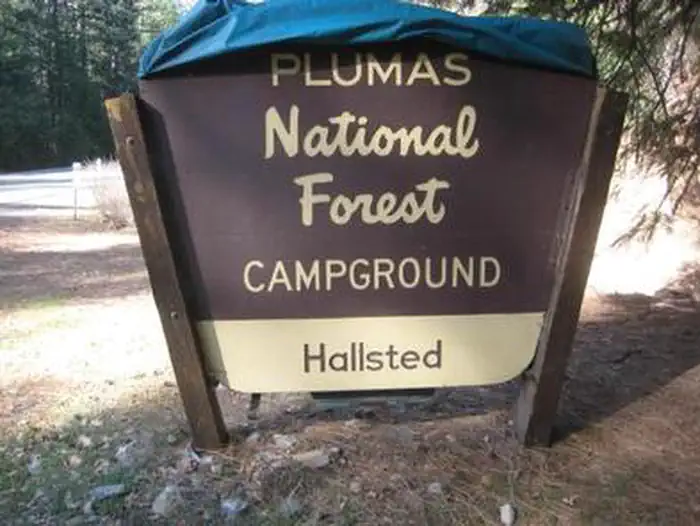 Hallsted — HALLSTED