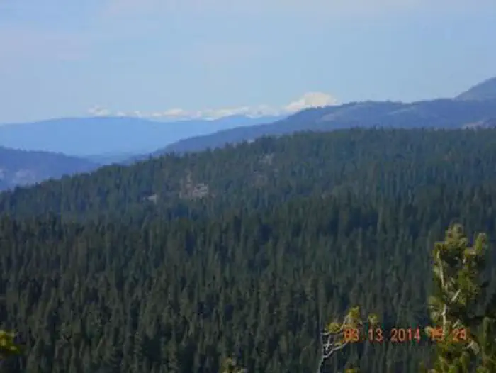 Calpine Lookout — CALPINE LOOKOUT