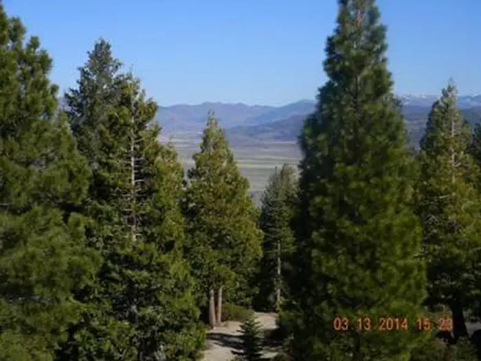Calpine Lookout