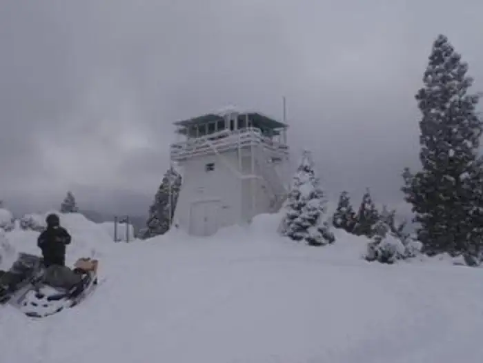 Calpine Lookout — CALPINE LOOKOUT