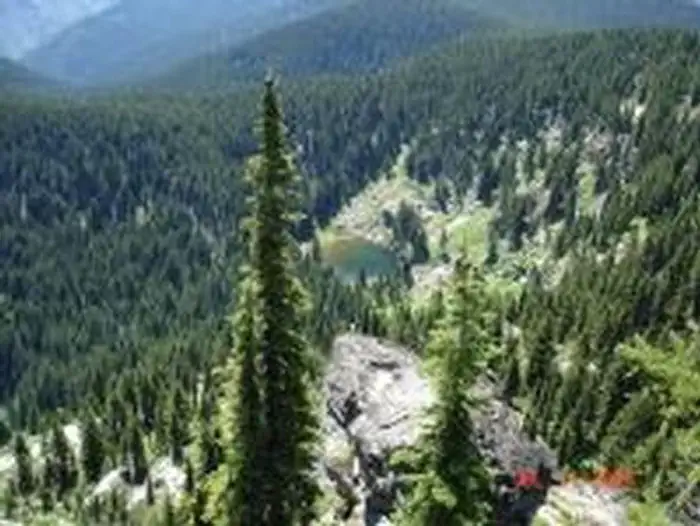 Cold Springs Peak Cabin - Clearwater Nf (id) — COLD SPRINGS PEAK CABIN