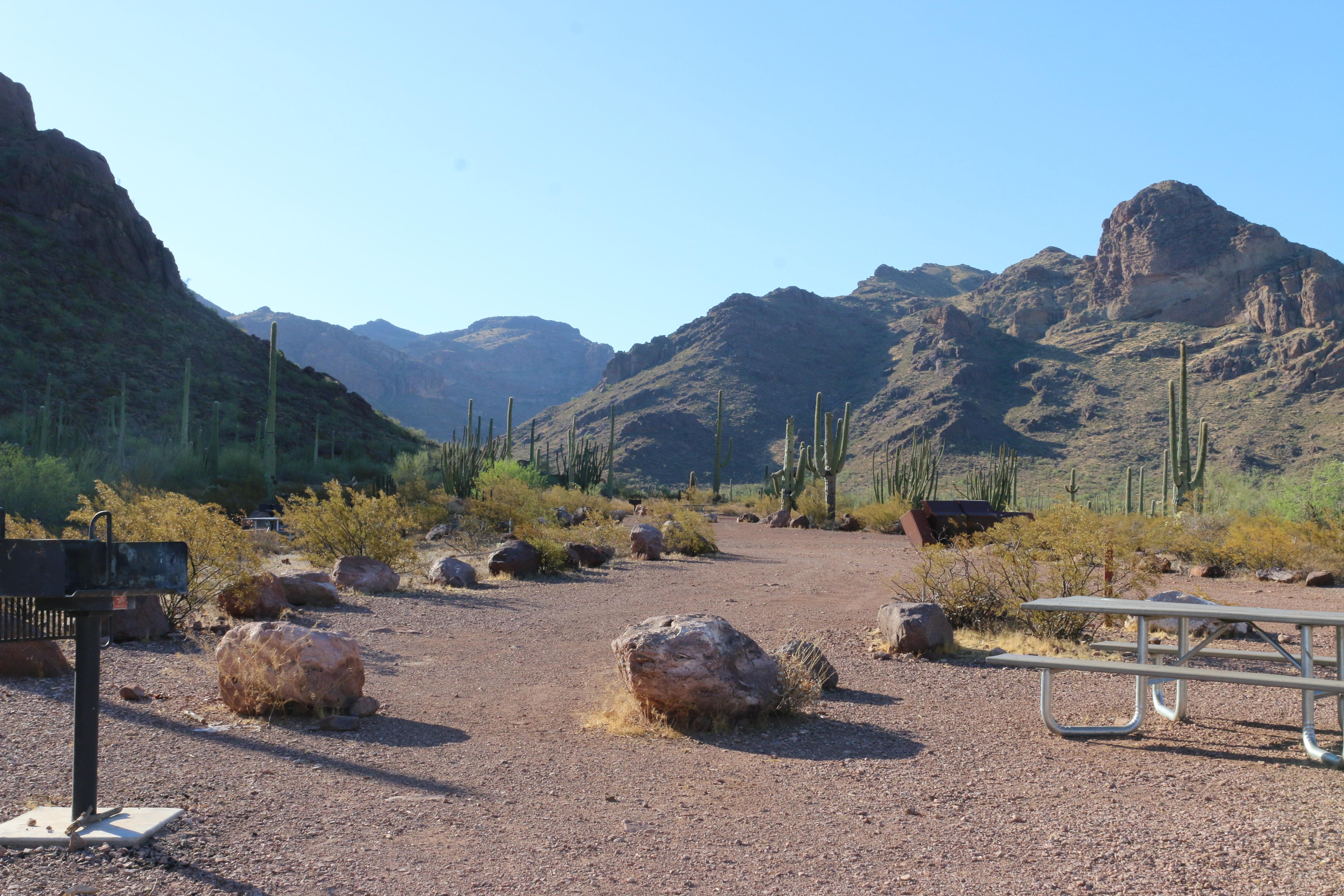 Alamo Canyon Primitive Campground — Alamo Campground