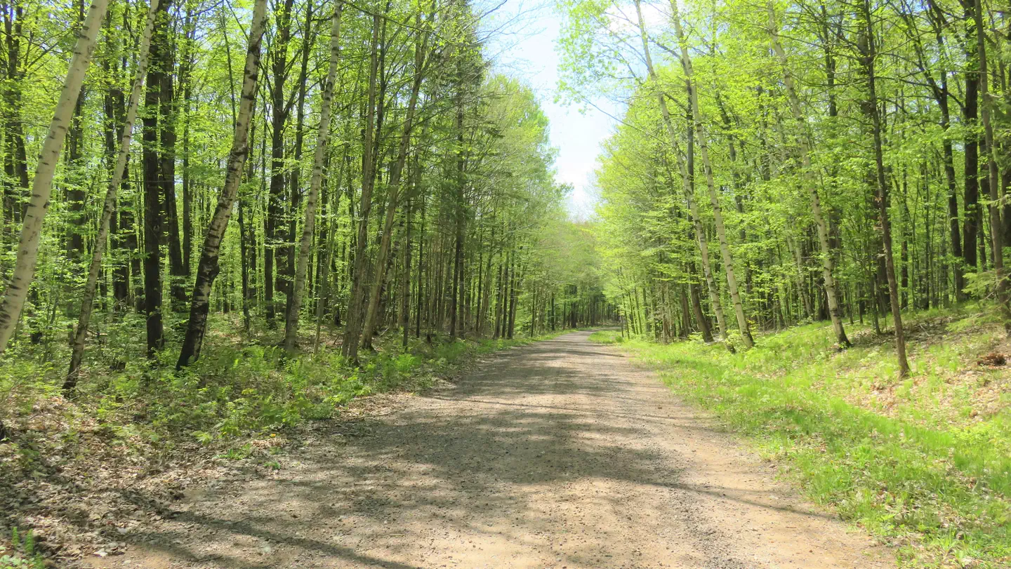 Eastwood NF Campground