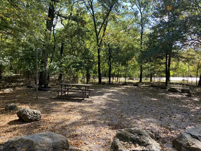Cold Springs Campground — A campsite covered in yellow and orange leaves. A picnic table and lantern post are on the far left.