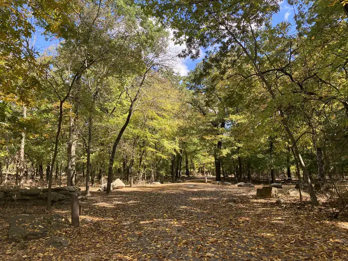 Cold Springs Campground — The entrance to Cold Springs Campground, covered in leaves and shaded by trees on each side.