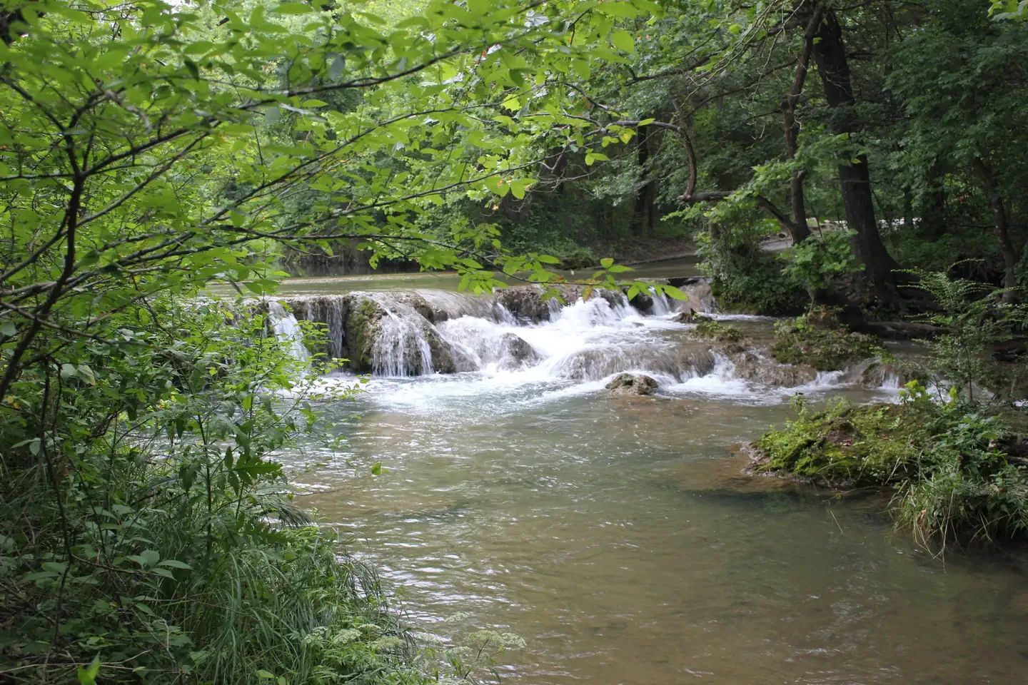 Cold Springs Campground — A waterfall with lush greenery surrounding it during the summer