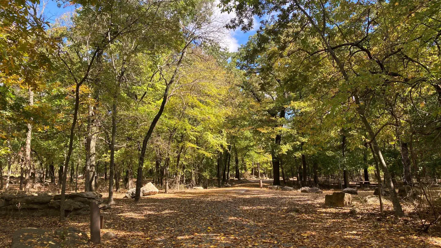 Cold Springs Campground