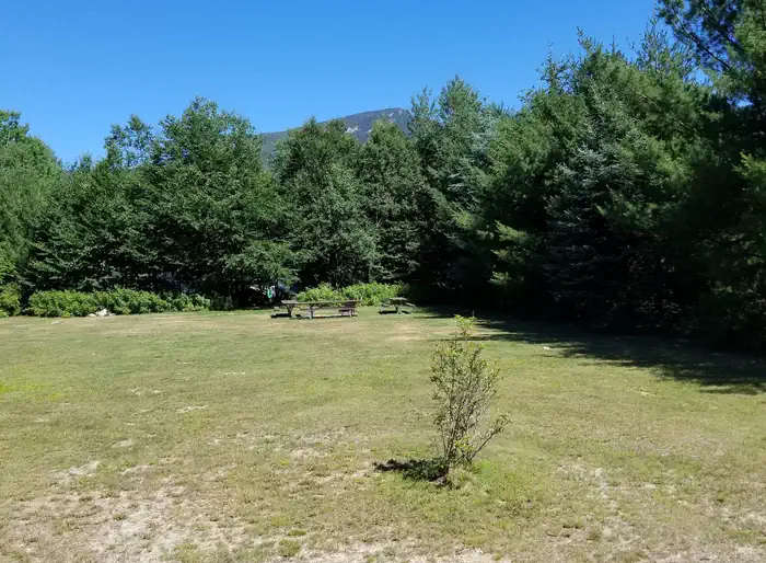 Osceola Vista Campground — Mountain view, picnic table