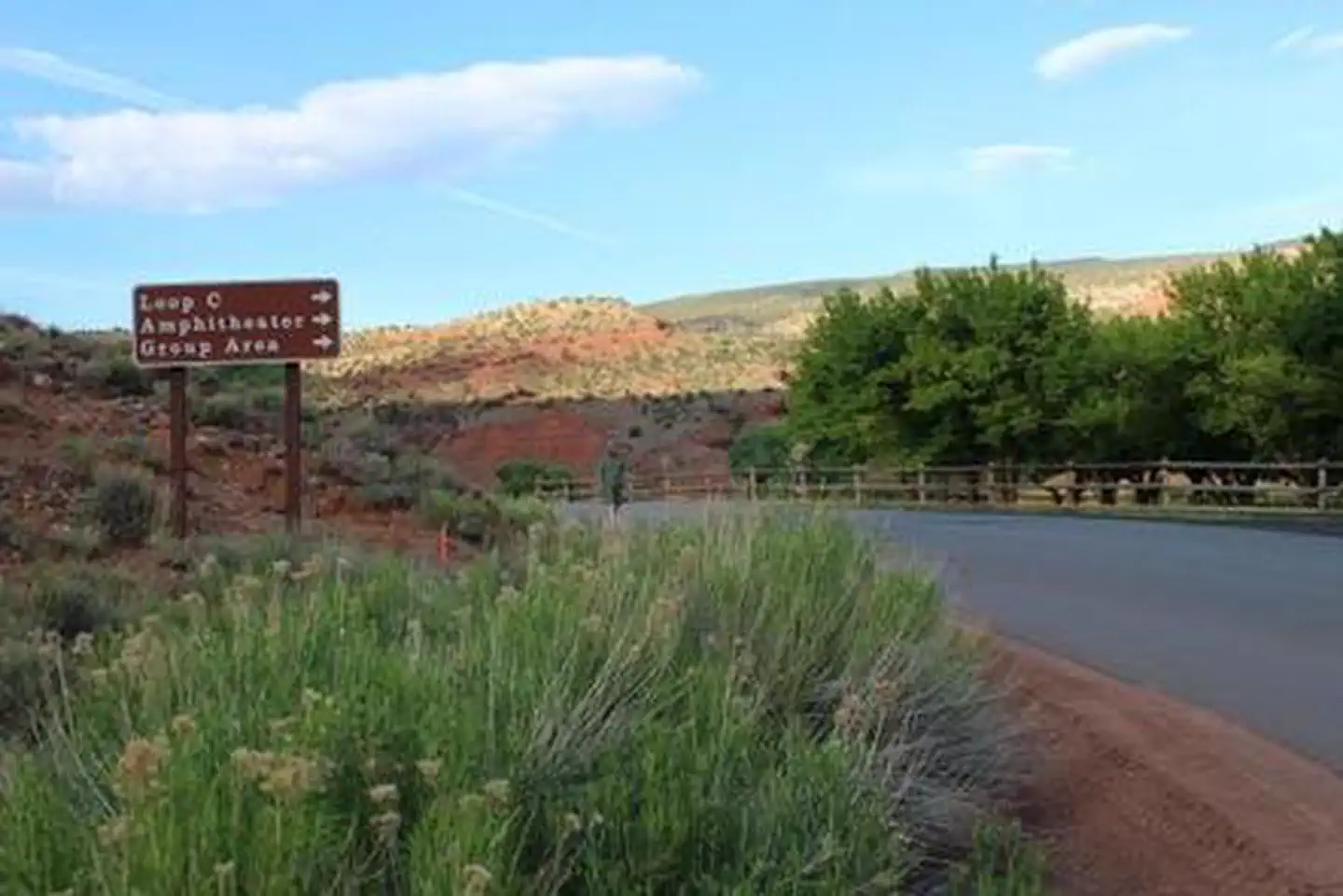 Capitol Reef Fruita Campground — A paved road. To the right side there is desert fauna and a brown sign reading: "Loop C *right arrow* Amphitheater *right arrow* Group Area *right arrow*". To the left side is a fence and some trees. There is a brown-