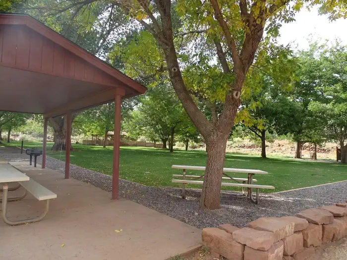 Capitol Reef Fruita Campground — A large tree is in front of a white picnic table. A brown pavilion is to the left, a white picnic table is underneath it and the picnic table is on top of concrete. A grassy area with many trees are in the background.
