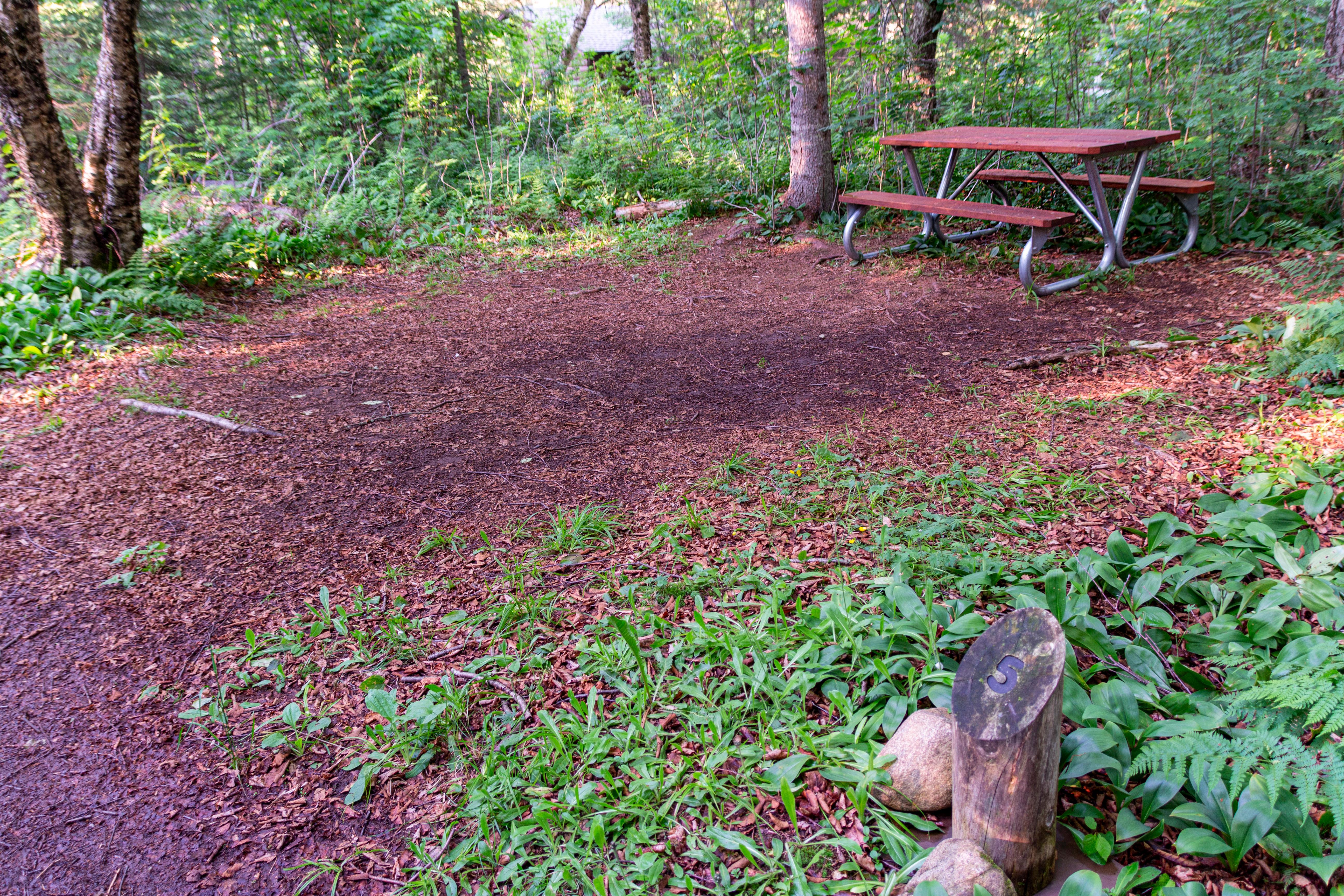 Washington Creek Campground