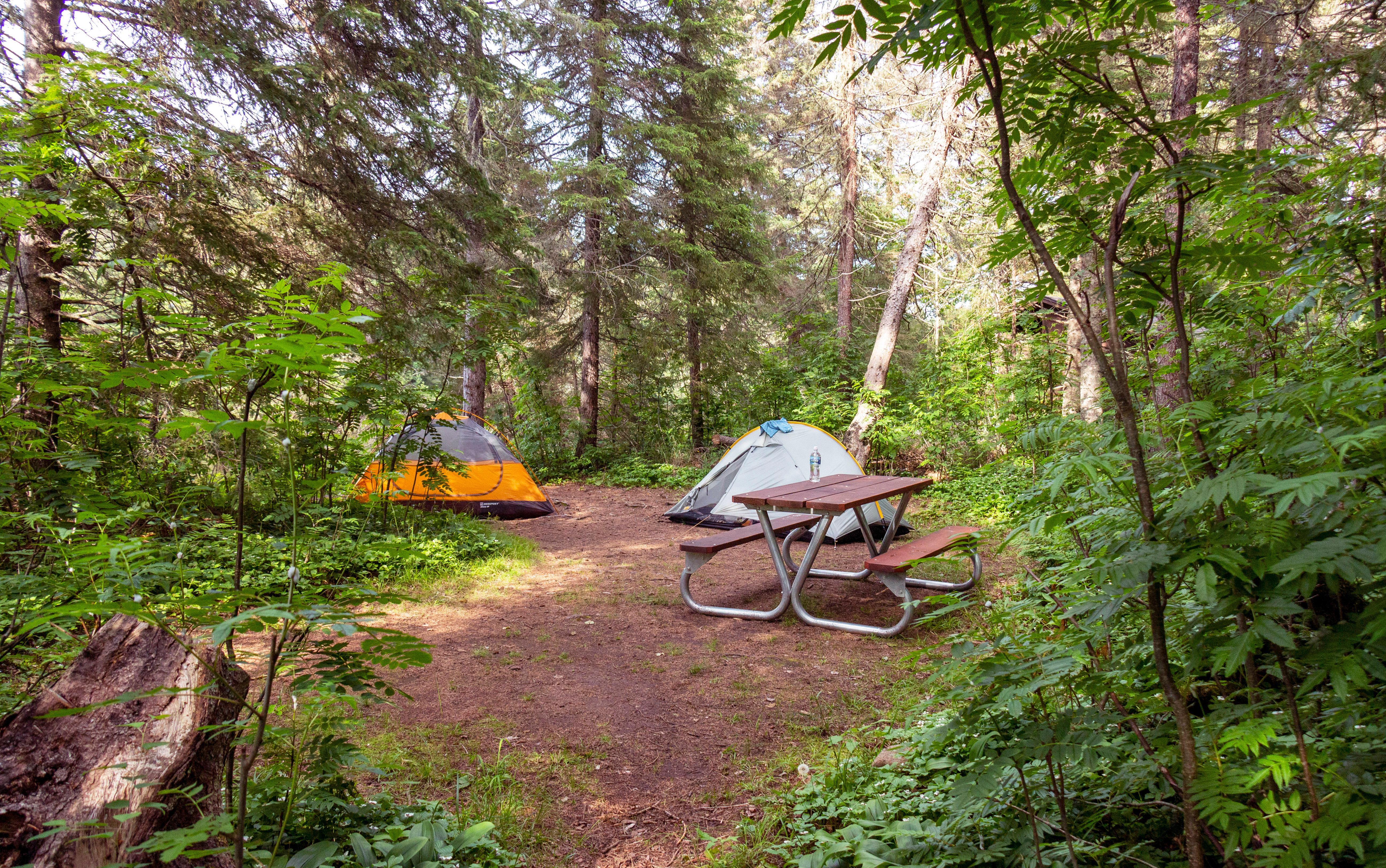 Washington Creek Campground — Washington Creek Campground Tent Site