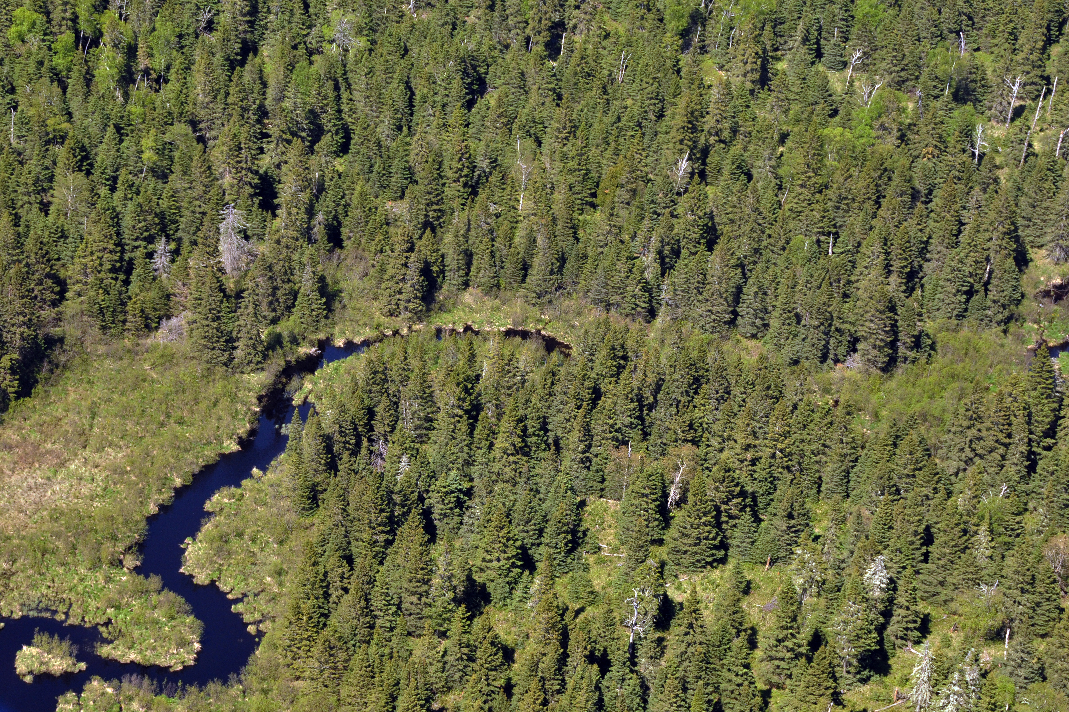 Washington Creek Campground — Washigton Creek  As Seen From the Air